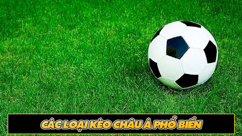 Các loại kèo châu Á phổ biến